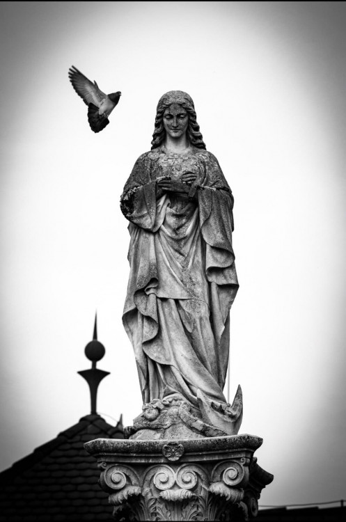 Mária