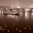 Tanec labutí na Vltave