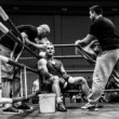 Boxer 3
