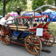 Stříkačka 1902