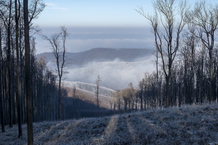 Cestou z Kršlenice na Čiernu skalu