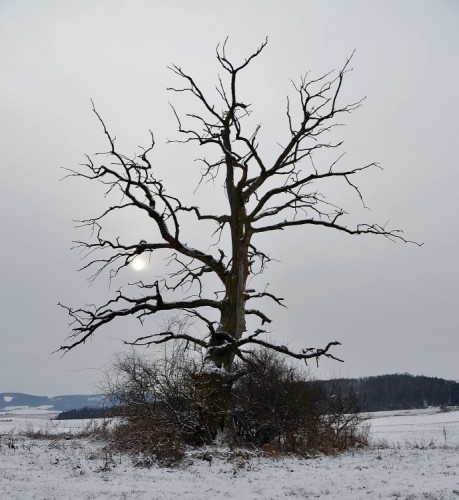 .. lampášik ...