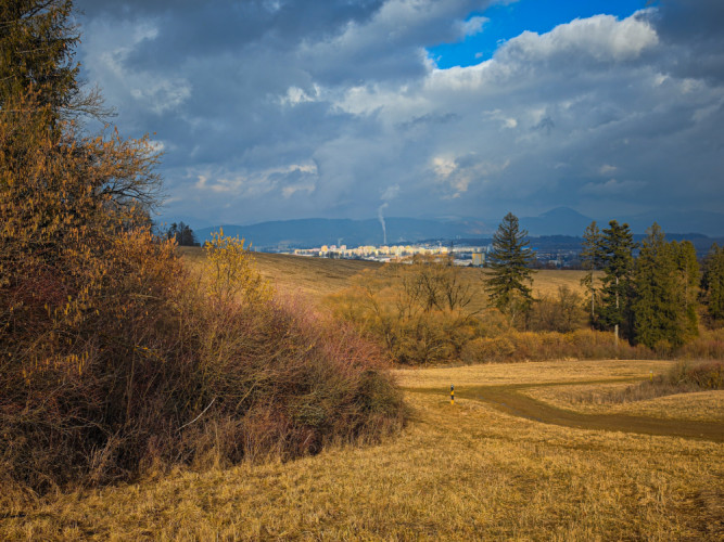 Príroda a mesto