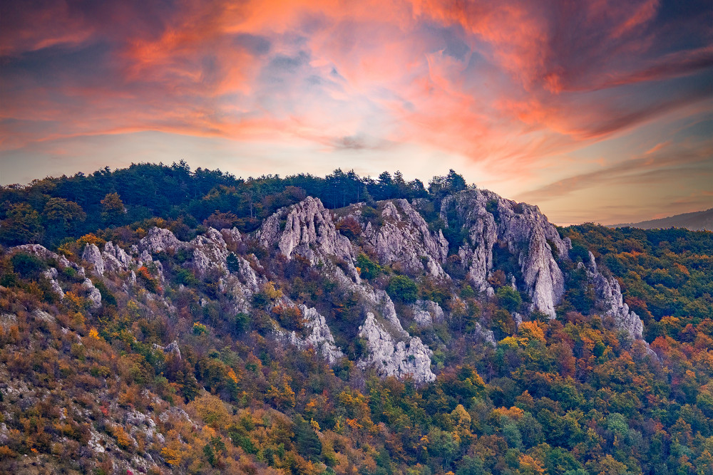 Kršlenica