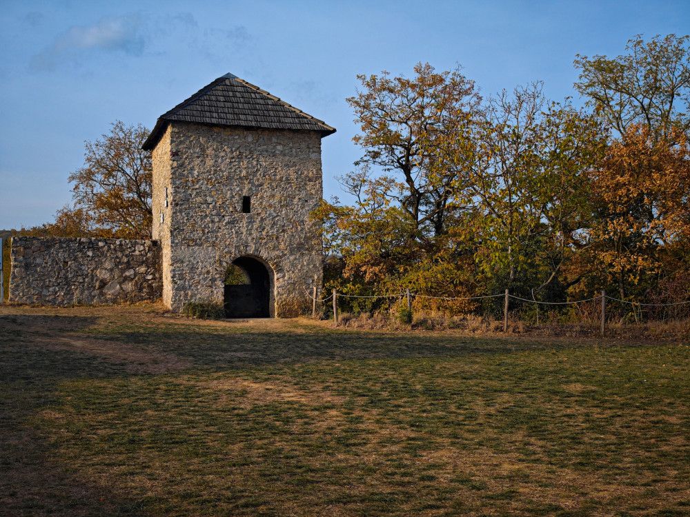 Haluzice