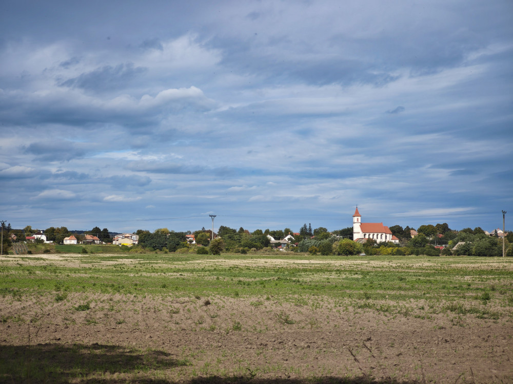Mužla
