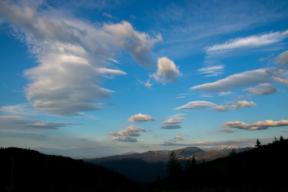 Baránky