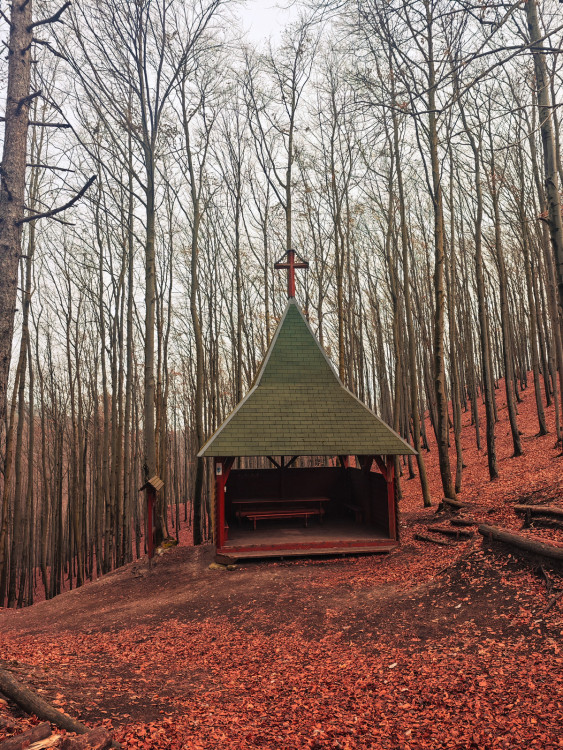 V Roháčskom sedle