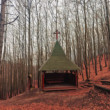 V Roháčskom sedle