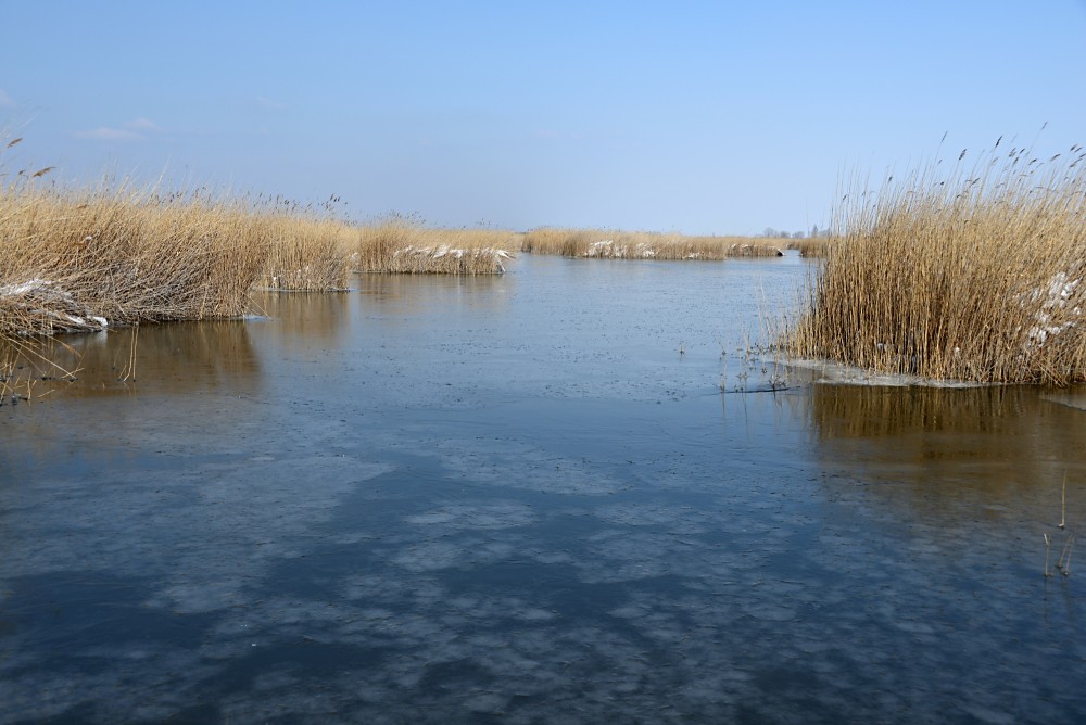 zákutia Neziderského jazera