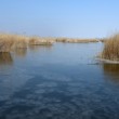 zákutia Neziderského jazera