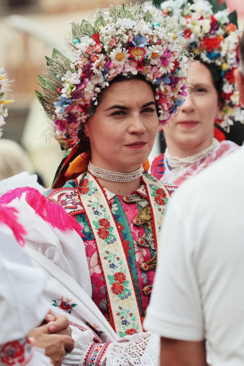 Krojovaná