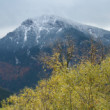 skala