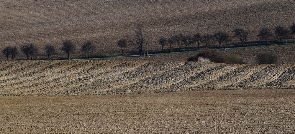 pozdĺž cesty