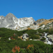 TATRY