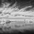 IR