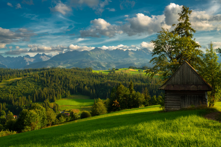 Tatry z podvečerných lúk