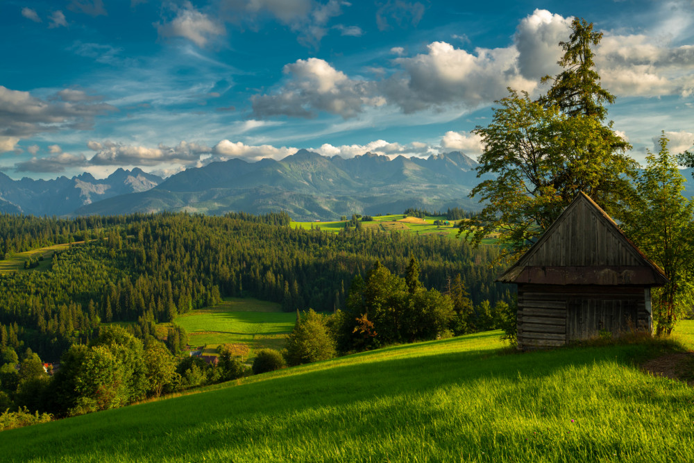Tatry z podvečerných lúk