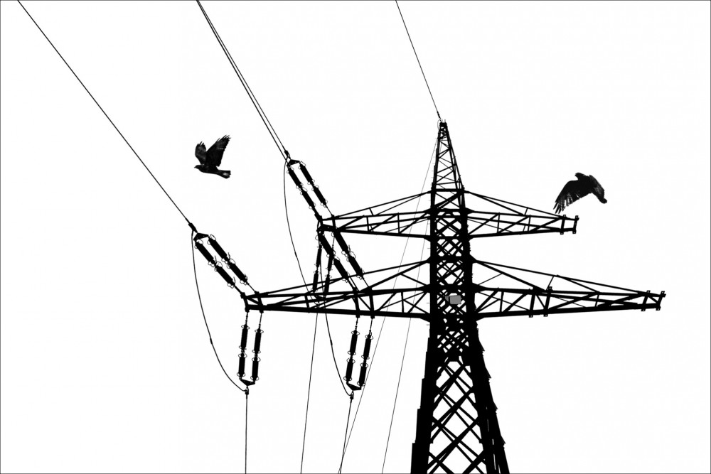 čierne na bielom: ohrdnutý nápadník