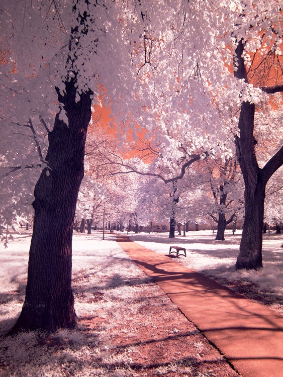 Sereď - park