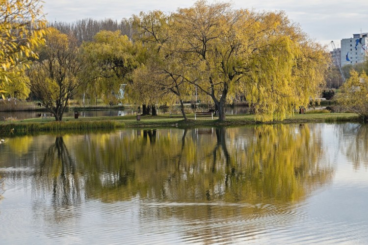 Zrkadlenie