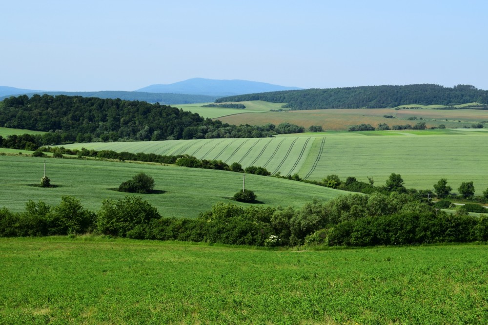 odtiene zelenej