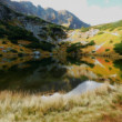 Roháčske pleso