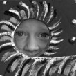 Oči