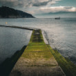 Road to the sea