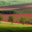 Južná Morava