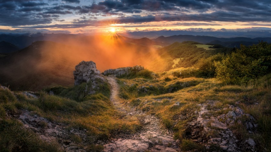 Cestičkou za svetlom