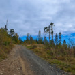 Spišská Magura