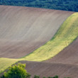 Vlnění