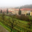 ...vinohrad...