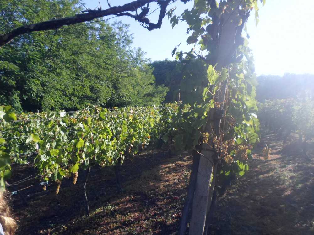 Tokaj je len jeden...