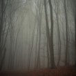 november