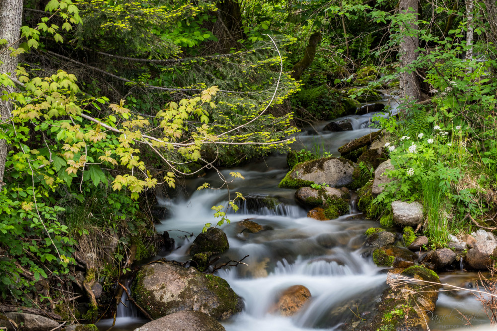 Horsky potom Nizke Tatry