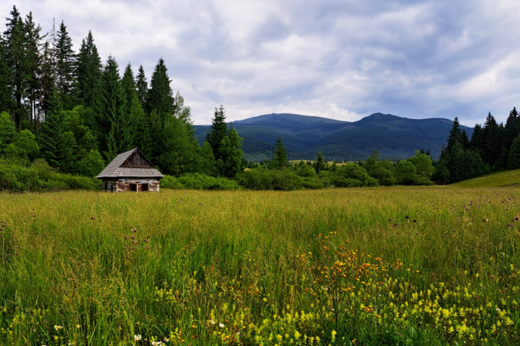 Chamkova stodola