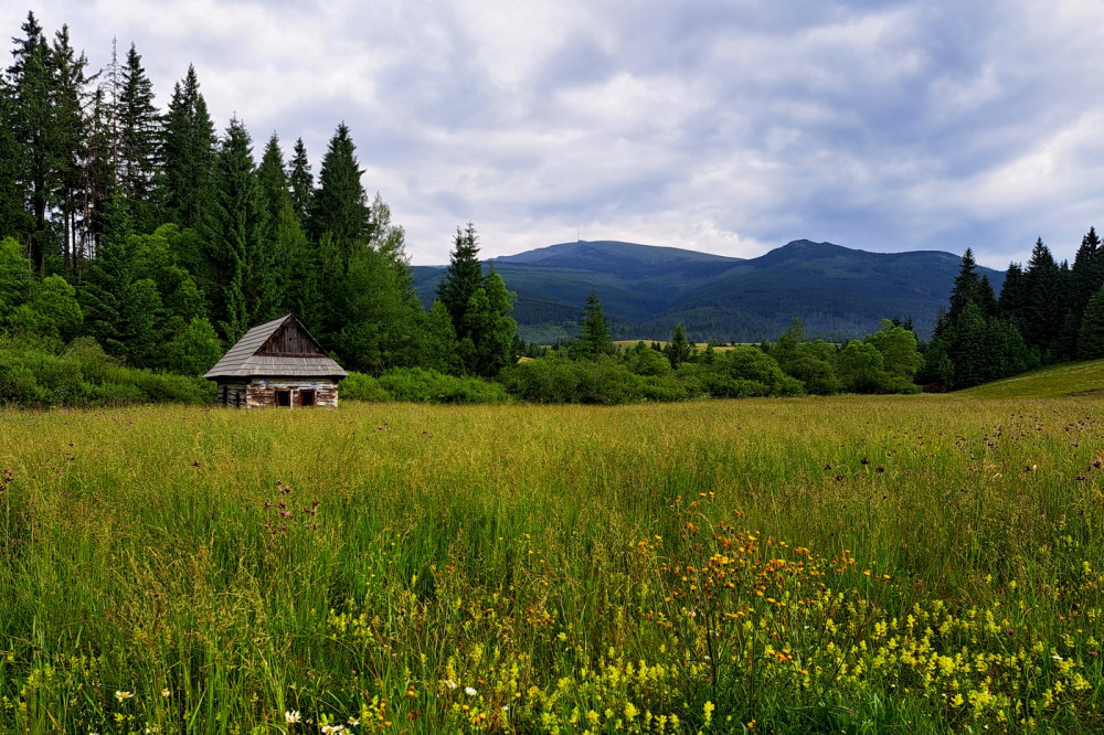 Chamkova stodola