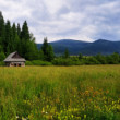 Chamkova stodola