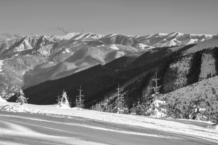 Čiernobiele pohľady