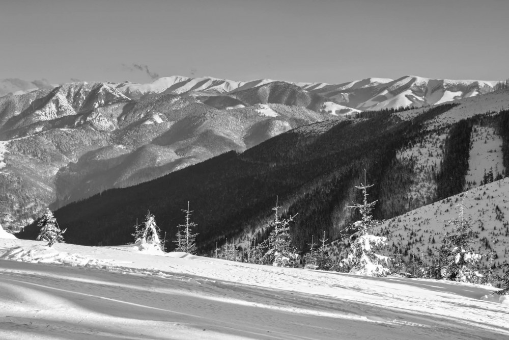 Čiernobiele pohľady
