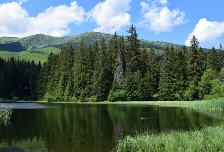 Vrbické pleso