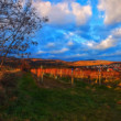 Vinohrady nad Modrou
