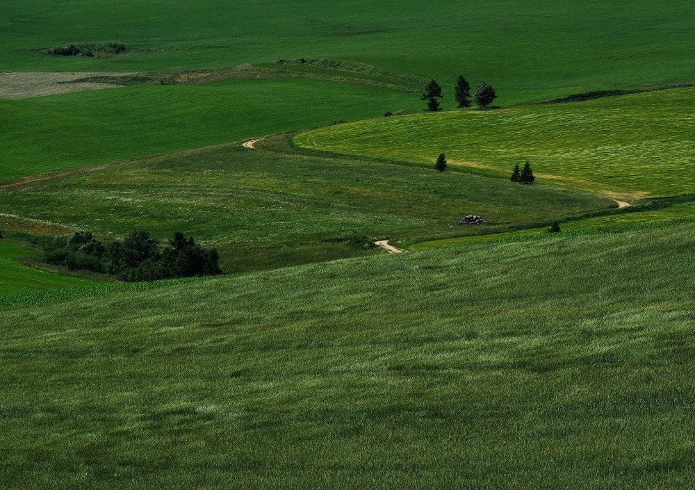 zelený svet