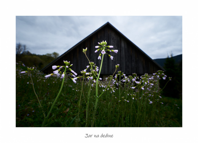 Jar na dedine