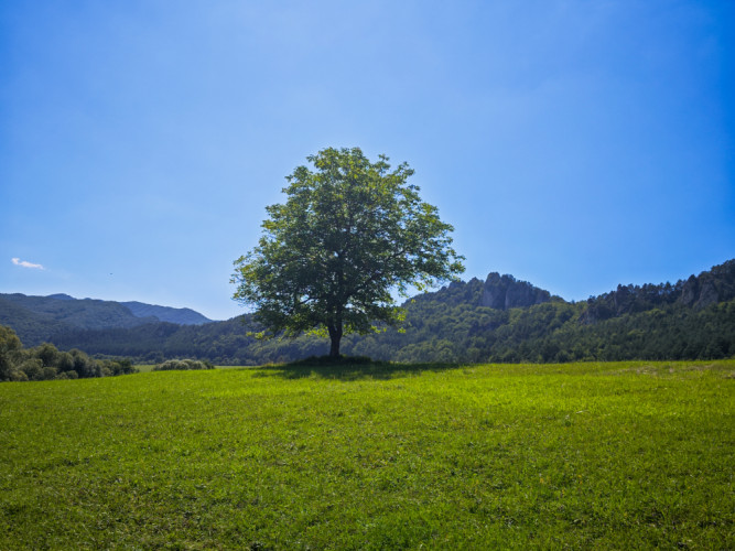 Súľovske vrchy
