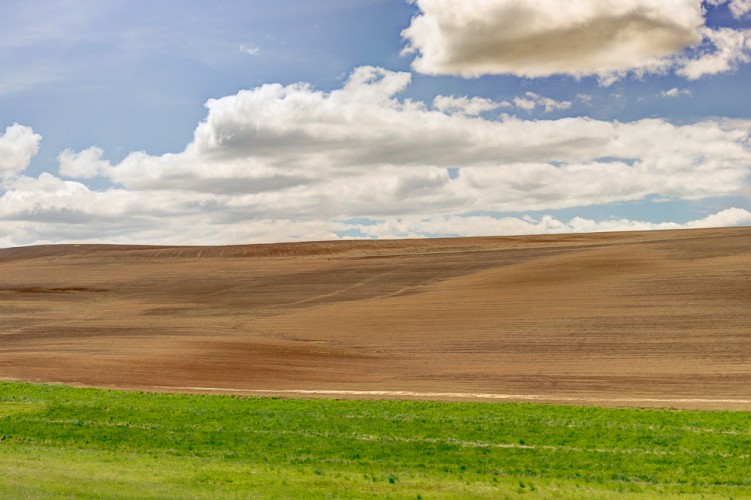 Na poli.