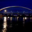 Na brehu Dunaja