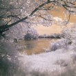 Sereď - Váh